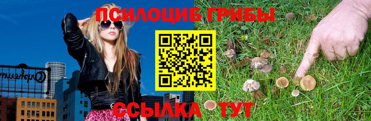 Бугуруслан  Галлюциногенные грибы прущие грибы  Вход с VPN 